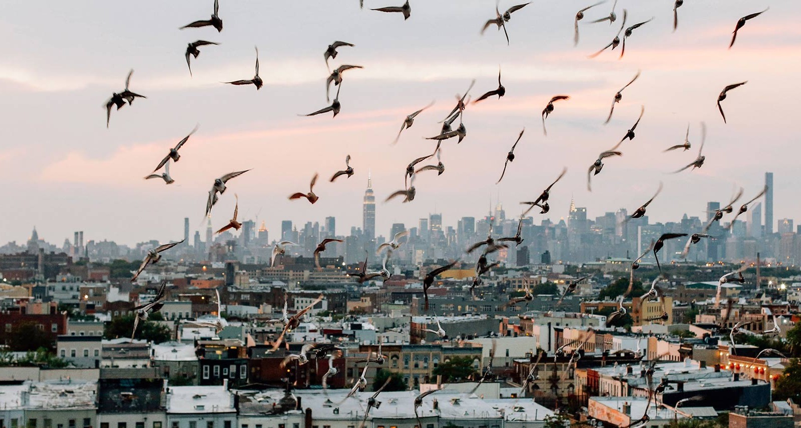 Which Cities Actually Are the Next Brooklyn?